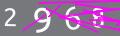 capsa